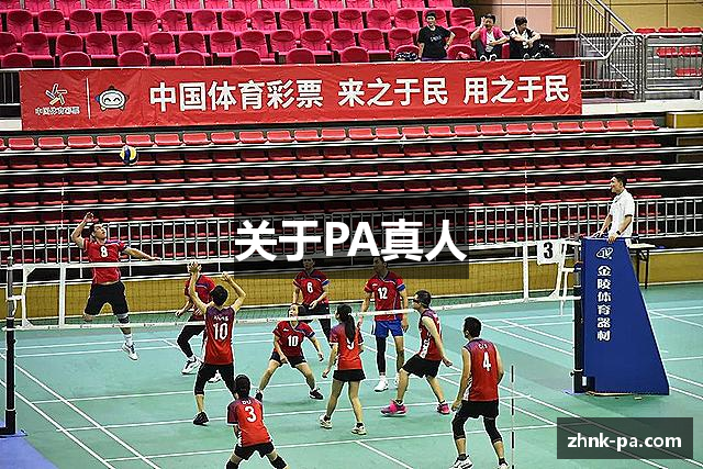 关于PA真人